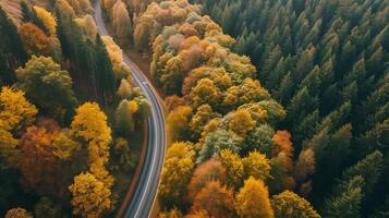 ai genererad antenn se av berg väg i autumm skog, topp se från Drönare av väg i skog, skön landskap med körbana i kullar, tall träd, ai genererad. foto