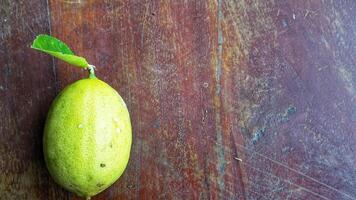 mogen citron- frukt på gren med grön löv. citron- frukt med grön blad. naturlig citron- frukt få att sväva. färsk gul mogen citroner. foto