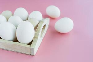 vit ägg på rosa bakgrund för mat matlagning foto