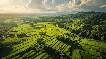 jordbruksmark grön lantbruk ris fält, miljö träd skog berg. natur och landskap resa. foto