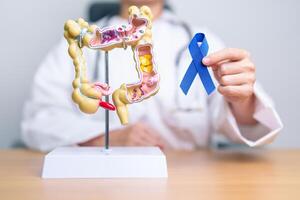 läkare innehav blå band med mänsklig kolon anatomi modell. Mars kolorektal cancer medvetenhet månad, kolon sjukdom, stor inälvor, ulcerös kolit, matsmältnings systemet och hälsa begrepp foto