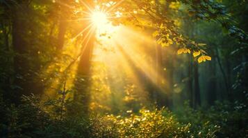 ai genererad Sol sunburst i de morgon- i grön sommar skog, skön natur bakgrund. foto