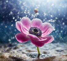 ai genererad skön rosa anemon blomma i vatten med droppar av vatten foto