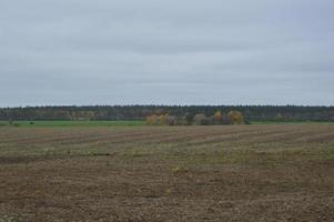 landskap av ett höstskördat fält i en by foto