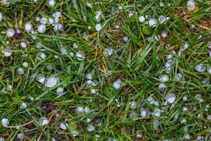 vit is hagel på de grön gräs efter sommar storm foto