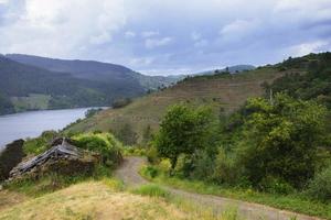 landskap av terrasserade vingårdar vid floden minho i ribeira sacra, galicien, spanien foto