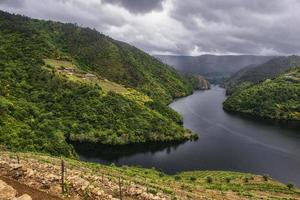 landskap av terrasserade vingårdar vid floden minho i ribeira sacra, galicien, spanien