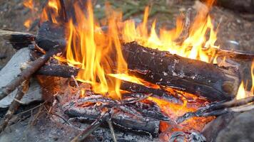 närbild se av bål lågor av camping brand, långsam rörelse brinnande ved. mysigt helgen, ved, brinnande loggar, värme, camping, natur utomhus- rekreation begrepp. foto