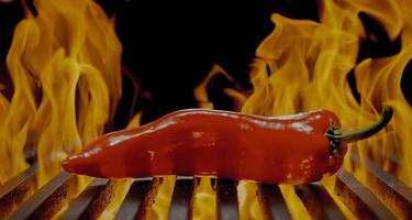 kryddad röd chili paprikor på brand med grill på svart bakgrund foto