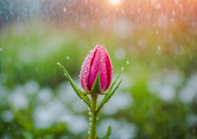 ai genererad en rosa blomma omgiven förbi vatten droppar i en trädgård foto