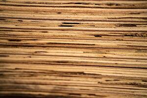 bakgrund av mönster trä sektion. rutnät av trä rutor. de rå av material timmer på stack. foto