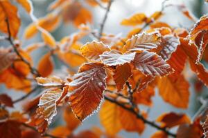 ai genererad orange bok löv täckt med frost i sent falla eller tidigt vinter. foto