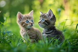 ai genererad två söt kattungar stående i grön gräs. foto
