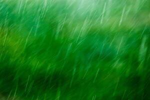 suddigt faller regndroppar på grön bakgrund med selektiv fokus foto