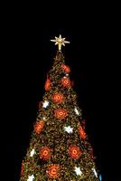 fläck bokeh jul träd med natt himmel bakgrund och byggnad foto