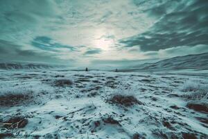 ai genererad vinter- landskap med snö täckt sanddyner foto