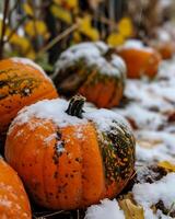 ai genererad halloween pumpor i de snö. domkraft o lyktor. foto