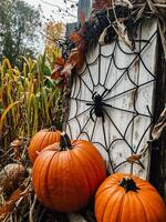 ai genererad halloween dekorationer med pumpor i främre av en rustik staket foto