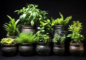 ai genererad uppsättning av små vaser med aromatisk växter för matlagning eller Övrig använder. friska liv. foto