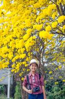 asiatisk flicka fotografi med natur gul blomma är skön foto