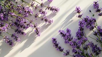 ai genererad lavendel- blommor platt lägga för bakgrund foto
