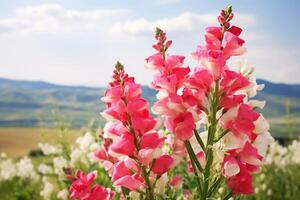 ai genererad utomhus- blommor med text Plats foto