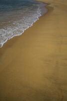 de strand närbild detalj foto