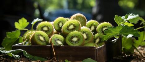 ai genererad riklig korg av mogen kiwi frukt på en rustik trä- tabell. foto
