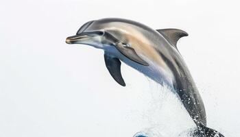 ai genererad lekfull flaska näsa delfin språng glatt i de hav vågor, under vattnet marin liv bild foto