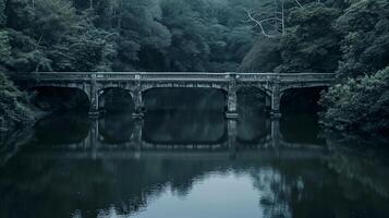 ai genererad Foto av två symmetrisk broar korsning över mörk flod. de broar skall vara identisk och symmetrisk, med invecklad strukturell mönster synlig. ai genererad