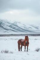 ai genererad lugn och snöig landskap med en enda brun häst stående i de snö ai genererad foto