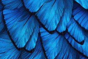 ai genererad abstrakt blå mönster från fjäril vingar foto