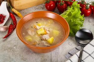 hemlagad kyckling soppa med grönsaker foto