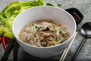 vietnamese traditionell soppa pho bo med nötkött foto