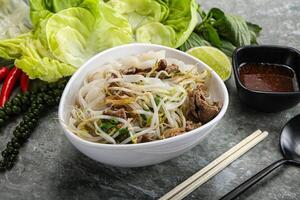 vietnamese traditionell soppa pho bo med nötkött foto