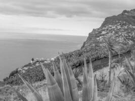 ön madeira i portugal foto