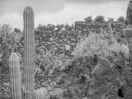 lanzarote ön i spanien foto