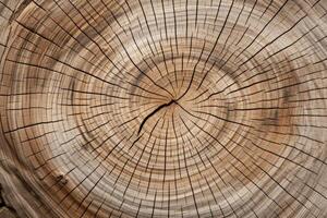 ai genererad närbild av skära träd trunk trä textur foto