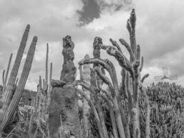 ön lanzarote foto