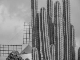 lanzarote ön i spanien foto