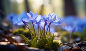 ai genererad vår blommor i de skog. skön natur scen med blomning blå blommor. foto