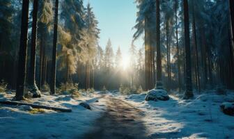 ai genererad skön vinter- skog landskap med träd täckt med rimfrost och snö foto