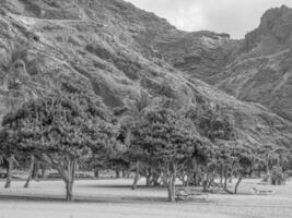 ön teneriffa i spanien foto