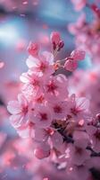 ai genererad körsbär blomma glädje, bakgrund bild, generativ ai foto