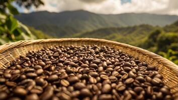 ai genererad kaffe skörda på plantage foto