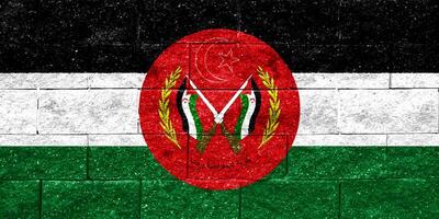 flagga och täcka av vapen av Västra sahara på en texturerad bakgrund. begrepp collage. foto