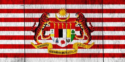 flagga och täcka av vapen av malaysia på en texturerad bakgrund. begrepp collage. foto
