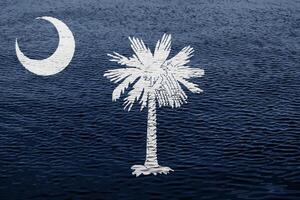 flagga av söder Carolina USA stat på en texturerad bakgrund. begrepp collage. foto