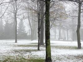 dimma i en stad parkera. ledsen höst landskap. dimma betyder en förändra i väder. foto