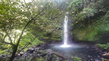 skön vattenfall, som heter curug sågare i de mitten av indonesien regnskog, asiatisk skog dold pärla foto